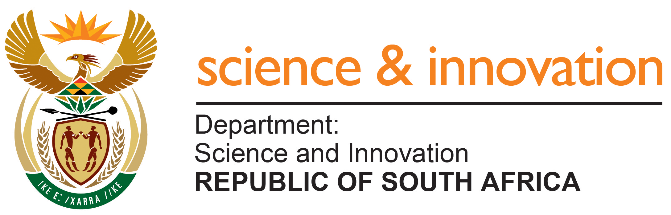 DSI Logo